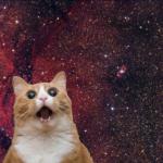 Space Cat meme