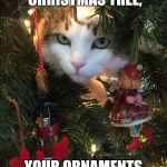 Every time... | O CHRISTMAS TREE,
O CHRISTMAS TREE, YOUR ORNAMENTS ARE HISTORY. | image tagged in christmas tree cat,christmas,cat,trouble,memes | made w/ Imgflip meme maker