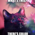 Christmas cat | WHAT'S THIS? WHAT'S THIS? THERE'S COLOR EVERYWHERE! | image tagged in christmas cat | made w/ Imgflip meme maker