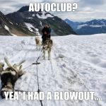 Flat dog... | AUTOCLUB? YEA' I HAD A BLOWOUT.... | image tagged in winter flat tire,blowout,dog,autoclub | made w/ Imgflip meme maker