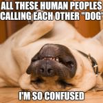 I don't know , Dog | ALL THESE HUMAN PEOPLES CALLING EACH OTHER "DOG"; I'M SO CONFUSED | image tagged in sleeping dog,confused,wtf,call me maybe | made w/ Imgflip meme maker