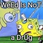 Spongebob | WeEd Is NoT; a DrUg | image tagged in spongebob | made w/ Imgflip meme maker