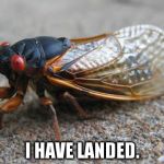 Cicada | I HAVE LANDED. | image tagged in cicada | made w/ Imgflip meme maker