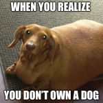 Fat doggo | WHEN YOU REALIZE; YOU DON’T OWN A DOG | image tagged in fat doggo | made w/ Imgflip meme maker