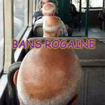 Baldness | WHEN THE FDA; BANS ROGAINE | image tagged in bald | made w/ Imgflip meme maker