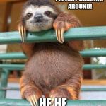 cute sloth | I'M JUST HANGING AROUND! HE HE | image tagged in cute sloth | made w/ Imgflip meme maker