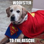 Super Dog | WOOFSTER; TO THE RESCUE | image tagged in super dog | made w/ Imgflip meme maker