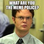 Watch out where you throw those comments man | WHAT ARE YOU THE MEME POLICE? | image tagged in false guy,i mean golly gosh darn folks,ya darn tootin howard | made w/ Imgflip meme maker