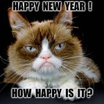 Happy New Year | HAPPY  NEW  YEAR  ! HOW  HAPPY  IS  IT ? | image tagged in happy new year | made w/ Imgflip meme maker