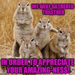 World Animal Day 2015 | WE HAVE GATHERED TOGETHER; IN ORDER TO APPRECIATE YOUR AMAZING-NESS! | image tagged in world animal day 2015 | made w/ Imgflip meme maker