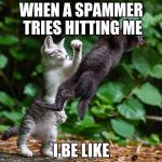 Mortal Kombat | WHEN A SPAMMER TRIES HITTING ME; I BE LIKE | image tagged in mortal kombat | made w/ Imgflip meme maker