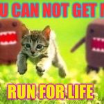 Kittens Running from Domo | YOU CAN NOT GET ME; RUN FOR LIFE | image tagged in kittens running from domo | made w/ Imgflip meme maker