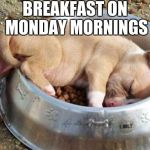 Mondays in a nutshell | BREAKFAST ON MONDAY MORNINGS | image tagged in sleeping puppy,monday mornings,puppy,cute puppies,sleepy dog,no sleep | made w/ Imgflip meme maker