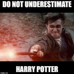 Harry Potter | DO NOT UNDERESTIMATE; HARRY POTTER | image tagged in harry potter | made w/ Imgflip meme maker