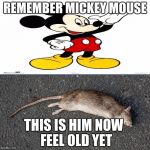 Feel old yet | REMEMBER MICKEY MOUSE; THIS IS HIM NOW
 FEEL OLD YET | image tagged in feel old yet | made w/ Imgflip meme maker