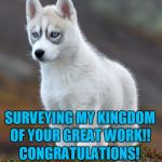 wolf wolves | OF YOUR GREAT WORK!! SURVEYING MY KINGDOM; CONGRATULATIONS! | image tagged in wolf wolves | made w/ Imgflip meme maker