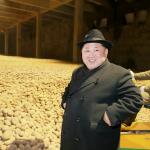 North Korea Potato