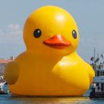 Giant Duck