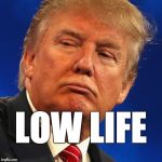 low life | LOW LIFE | image tagged in donald trump,trump,maga,conman | made w/ Imgflip meme maker
