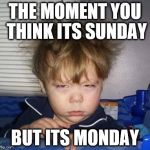 Bed Head Fred | THE MOMENT YOU THINK ITS SUNDAY; BUT ITS MONDAY | image tagged in bed head fred | made w/ Imgflip meme maker