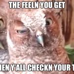 Drunken owl approves | THE FEELN YOU GET; WHEN Y’ALL CHECKN YOUR TXT | image tagged in drunken owl approves | made w/ Imgflip meme maker