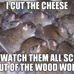 Keep an eye on he who has commented. | I CUT THE CHEESE NOW WATCH THEM ALL SCURRY OUT OF THE WOOD WORK | image tagged in rats,scurry lil alt users | made w/ Imgflip meme maker