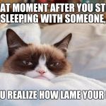 grumpy cat bed | THAT MOMENT AFTER YOU STOP SLEEPING WITH SOMEONE, AND YOU REALIZE HOW LAME YOUR LIFE IS. | image tagged in grumpy cat bed | made w/ Imgflip meme maker