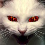 Evil cat demon