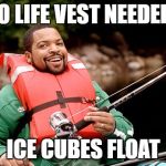 Ice Cube are we there yet | NO LIFE VEST NEEDED.. ICE CUBES FLOAT | image tagged in ice cube are we there yet | made w/ Imgflip meme maker
