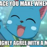 Agreeing With Memes | THE FACE YOU MAKE WHENEVER; YOU HIGHLY AGREE WITH A MEME... | image tagged in happy fairy tail,fairy tail,memes,anime | made w/ Imgflip meme maker