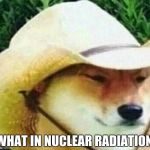 What in tarnation | WHAT IN NUCLEAR RADIATION | image tagged in what in tarnation | made w/ Imgflip meme maker