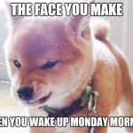 monday face | THE FACE YOU MAKE; WHEN YOU WAKE UP MONDAY MORNING | image tagged in monday face | made w/ Imgflip meme maker