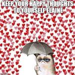 Grumpy cat | KEEP YOUR HAPPY THOUGHTS TO YOURSELF ELAINE | image tagged in grumpy cat | made w/ Imgflip meme maker