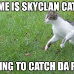 Warrior cat meme Meme Generator - Imgflip