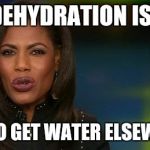 Omarosa | THE DEHYDRATION IS REAL; GOT TO GET WATER ELSEWHERE | image tagged in omarosa | made w/ Imgflip meme maker