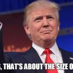 Donald tiny hands | YES, THAT'S ABOUT THE SIZE OF IT | image tagged in donald tiny hands | made w/ Imgflip meme maker
