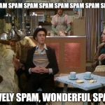 Monty Python Spam | SPAM SPAM SPAM SPAM SPAM SPAM SPAM SPAM; LOVELY SPAM, WONDERFUL SPAM! | image tagged in spam,vikings,monty python | made w/ Imgflip meme maker