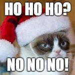 Christmas Grumpy Cat | HO HO HO? NO NO NO! | image tagged in christmas grumpy cat | made w/ Imgflip meme maker