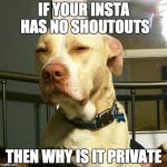 Suspicious Dog | IF YOUR INSTA HAS NO SHOUTOUTS; THEN WHY IS IT PRIVATE | image tagged in suspicious dog | made w/ Imgflip meme maker