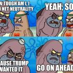 How tough are you? | YEAH, SO? HOW TOUGH AM I, I KILLED NET NEUTRALITY; BECAUSE TRUMP WANTED IT; GO ON AHEAD SIR | image tagged in how tough are you | made w/ Imgflip meme maker