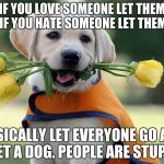 Cute dog | IF YOU LOVE SOMEONE LET THEM GO, IF YOU HATE SOMEONE LET THEM GO. BASICALLY LET EVERYONE GO AND GET A DOG. PEOPLE ARE STUPID | image tagged in cute dog | made w/ Imgflip meme maker