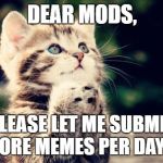 Cute Cat Praying | DEAR MODS, PLEASE LET ME SUBMIT MORE MEMES PER DAY | image tagged in cute cat praying | made w/ Imgflip meme maker
