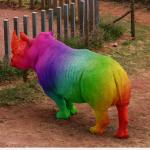 Rainbow rhino meme