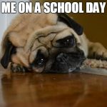 sad dog | ME ON A SCHOOL DAY | image tagged in sad dog | made w/ Imgflip meme maker