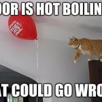 cat what could go wrong | THE FLOOR IS HOT BOILING LAVA; WHAT COULD GO WRONG? | image tagged in cat what could go wrong | made w/ Imgflip meme maker