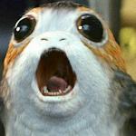 porg