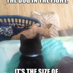Attack from Above | IT'S NOT THE SIZE OF THE DOG IN THE FIGHT, IT'S THE SIZE OF THE FIGHT IN THE CAT. | image tagged in attack from above | made w/ Imgflip meme maker