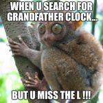 Frightened Bohol Tarsier | WHEN U SEARCH FOR GRANDFATHER CLOCK... BUT U MISS THE L !!! | image tagged in frightened bohol tarsier | made w/ Imgflip meme maker