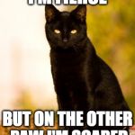 Black cat sitting | I'M FIERCE; BUT ON THE OTHER PAW I'M SCARED | image tagged in black cat sitting | made w/ Imgflip meme maker