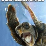 shook turt | WHEN YOU HEAR THERE'S A NEW INVASIVE SPECIES; NOOOOO | image tagged in shook turt | made w/ Imgflip meme maker